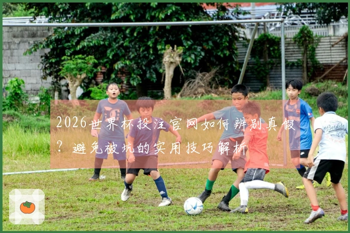 2026世界杯投注官网如何辨别真假？避免被坑的实用技巧解析