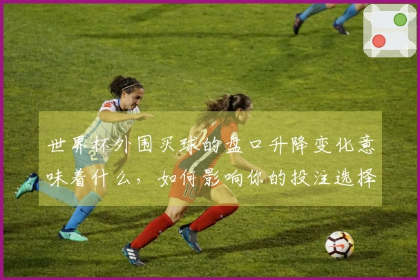 世界杯外围买球的盘口升降变化意味着什么，如何影响你的投注选择？