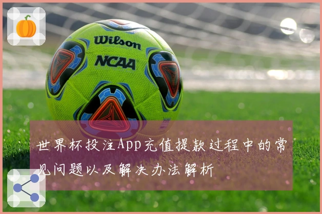 世界杯投注App充值提款过程中的常见问题以及解决办法解析