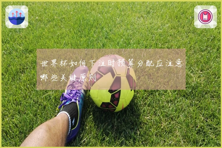 世界杯如何下注时预算分配应注意哪些关键原则