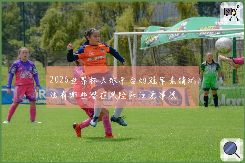 2026世界杯买球平台的冠军竞猜玩法有哪些潜在风险和注意事项