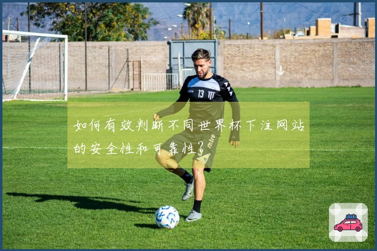 如何有效判断不同世界杯下注网站的安全性和可靠性?