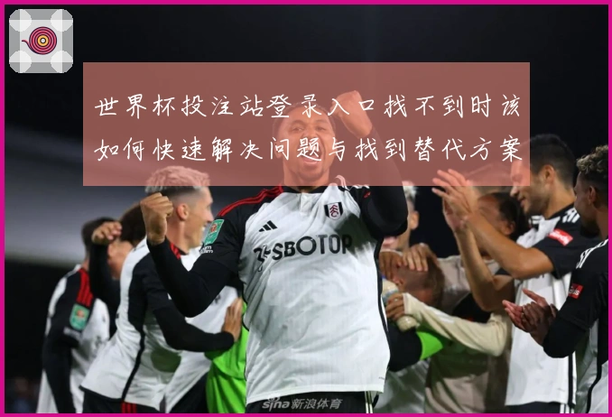 世界杯投注站登录入口找不到时该如何快速解决问题与找到替代方案