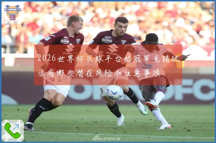 2026世界杯买球平台的冠军竞猜玩法有哪些潜在风险和注意事项