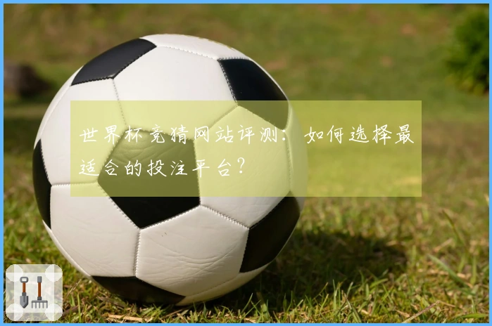 世界杯竞猜网站评测：如何选择最适合的投注平台？