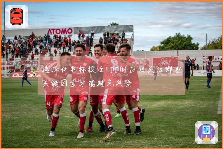 选择世界杯投注app时应该关注哪些关键因素才能避免风险