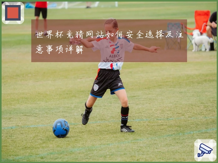 世界杯竞猜网站如何安全选择及注意事项详解