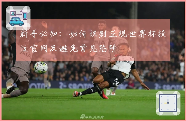 新手必知：如何识别正规世界杯投注官网及避免常见陷阱
