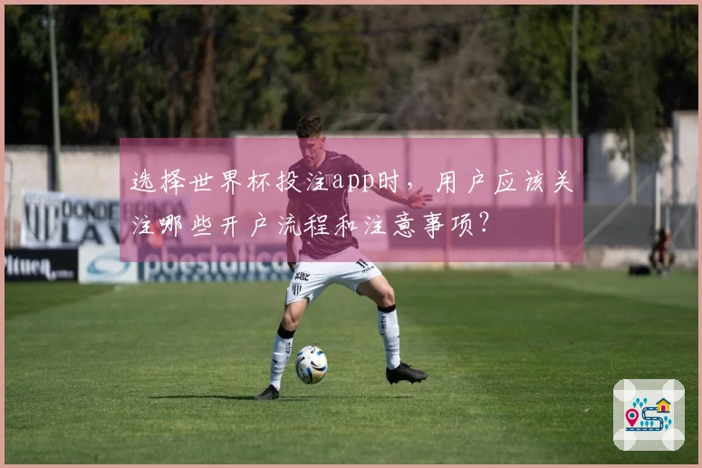 选择世界杯投注app时，用户应该关注哪些开户流程和注意事项？