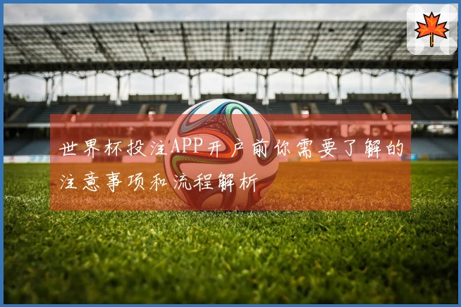 世界杯投注APP开户前你需要了解的注意事项和流程解析