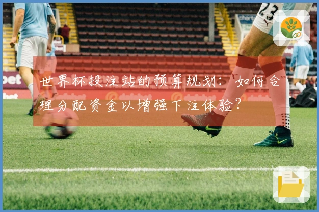 世界杯投注站的预算规划：如何合理分配资金以增强下注体验？