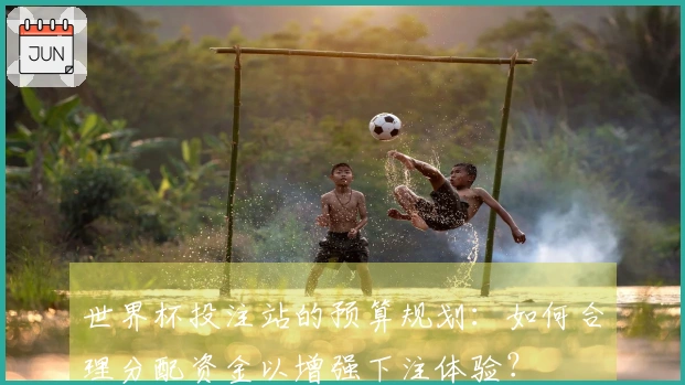 世界杯投注站的预算规划：如何合理分配资金以增强下注体验？