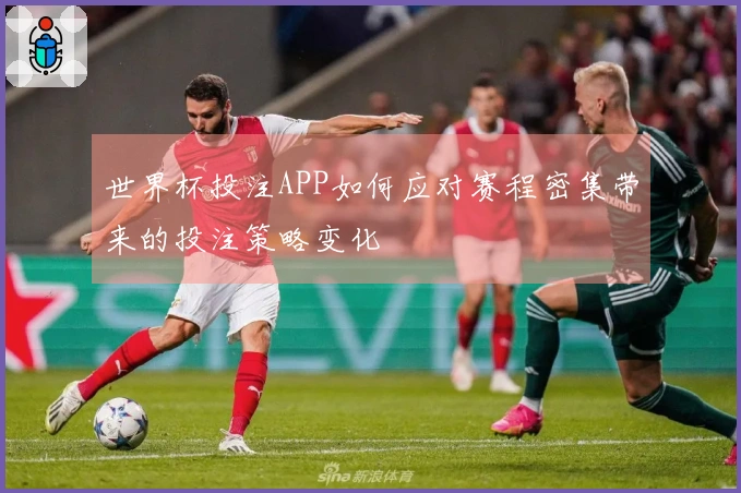 世界杯投注APP如何应对赛程密集带来的投注策略变化