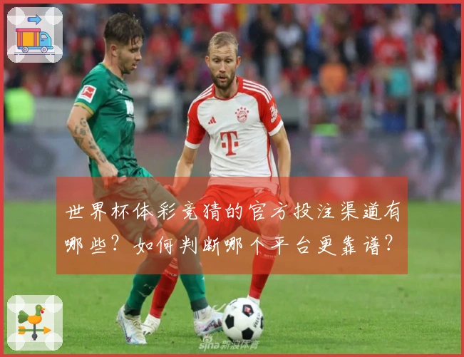 世界杯体彩竞猜的官方投注渠道有哪些？如何判断哪个平台更靠谱？