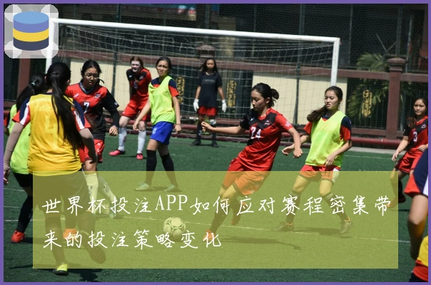 世界杯投注APP如何应对赛程密集带来的投注策略变化