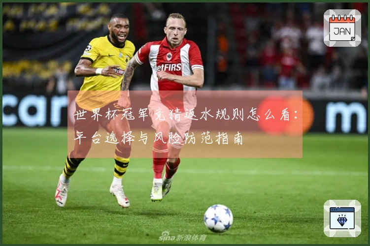 世界杯冠军竞猜返水规则怎么看：平台选择与风险防范指南