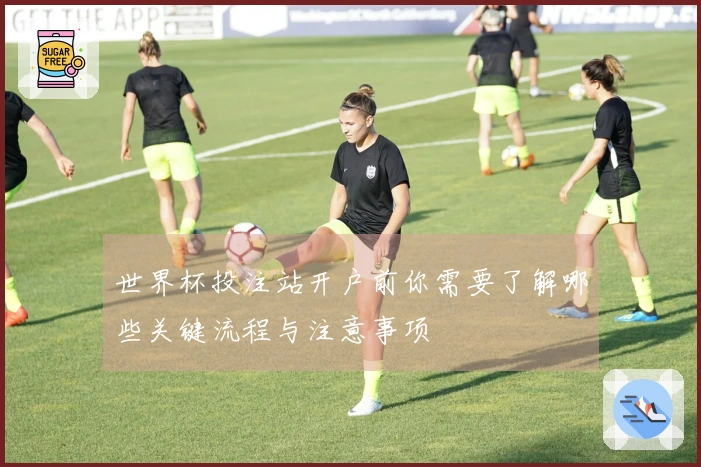 世界杯投注站开户前你需要了解哪些关键流程与注意事项