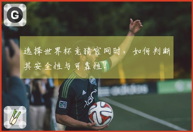 选择世界杯竞猜官网时，如何判断其安全性与可靠性？