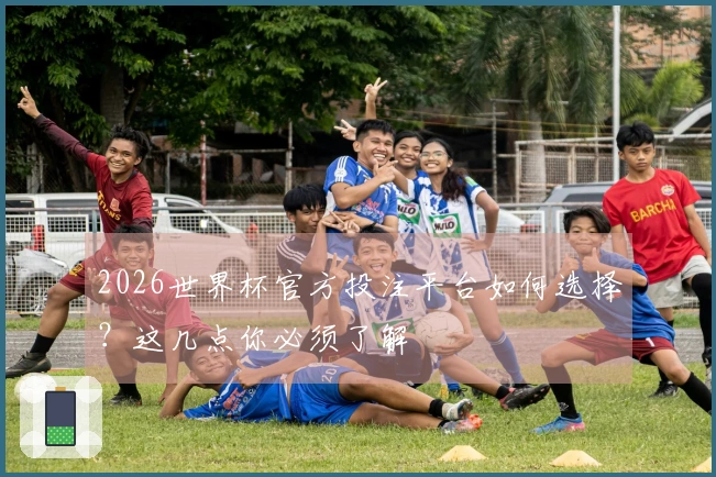 2026世界杯官方投注平台如何选择？这几点你必须了解