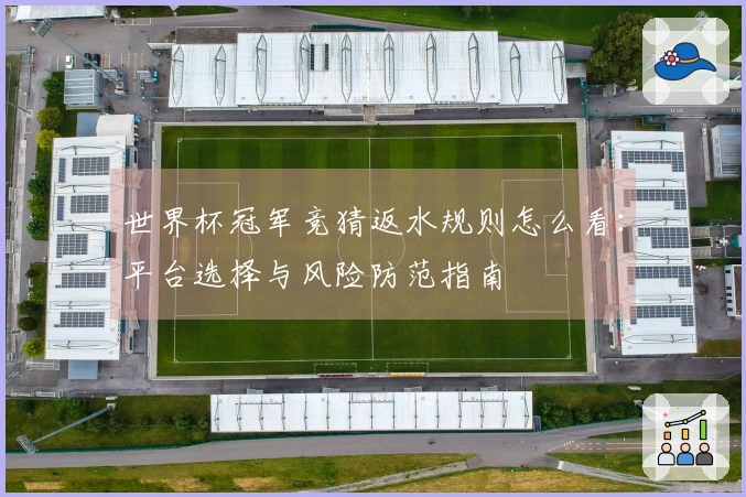 世界杯冠军竞猜返水规则怎么看：平台选择与风险防范指南