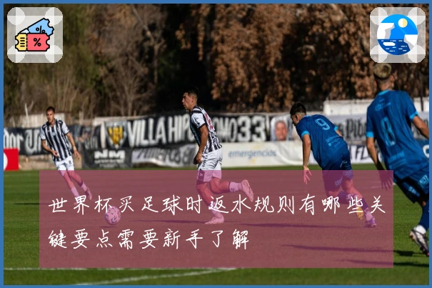 世界杯买足球时返水规则有哪些关键要点需要新手了解