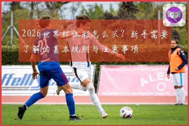 2026世界杯体彩怎么买？新手需要了解的基本规则与注意事项