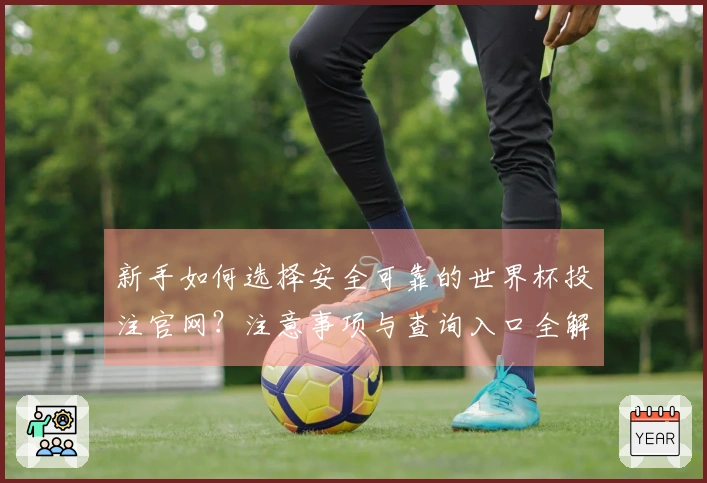 新手如何选择安全可靠的世界杯投注官网？注意事项与查询入口全解析