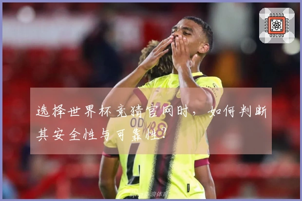 选择世界杯竞猜官网时，如何判断其安全性与可靠性？