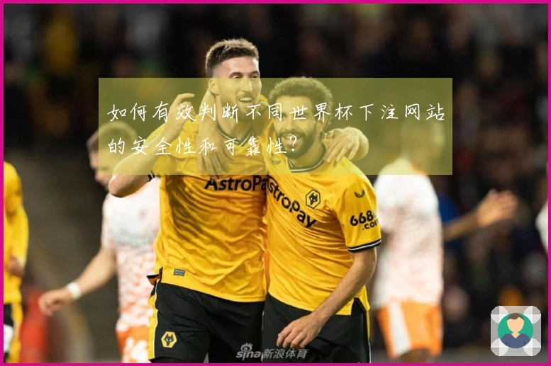 如何有效判断不同世界杯下注网站的安全性和可靠性？