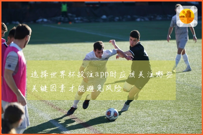 选择世界杯投注app时应该关注哪些关键因素才能避免风险