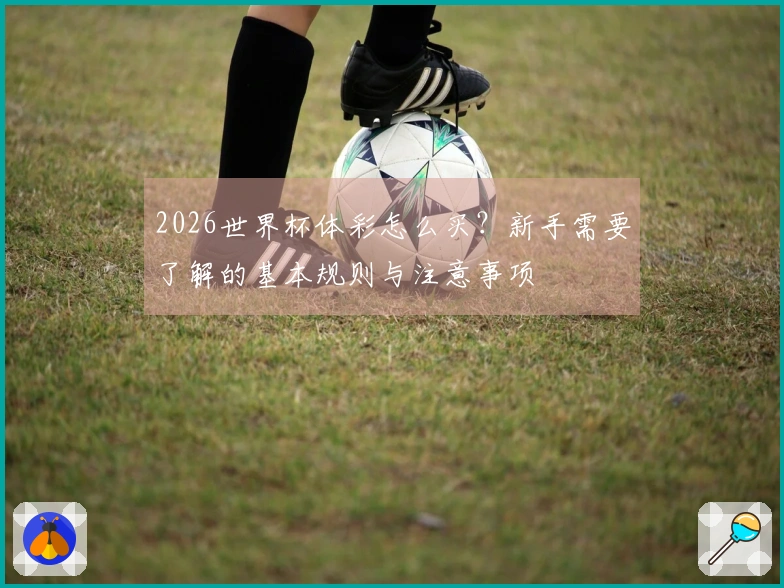 2026世界杯体彩怎么买？新手需要了解的基本规则与注意事项