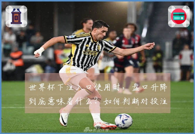 世界杯下注入口使用时，盘口升降到底意味着什么？如何判断对投注有何影响？