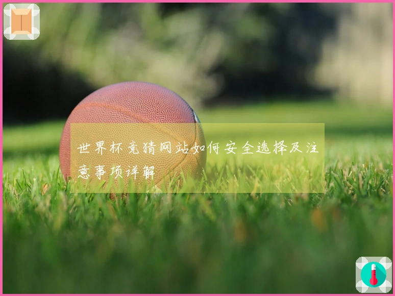 世界杯竞猜网站如何安全选择及注意事项详解