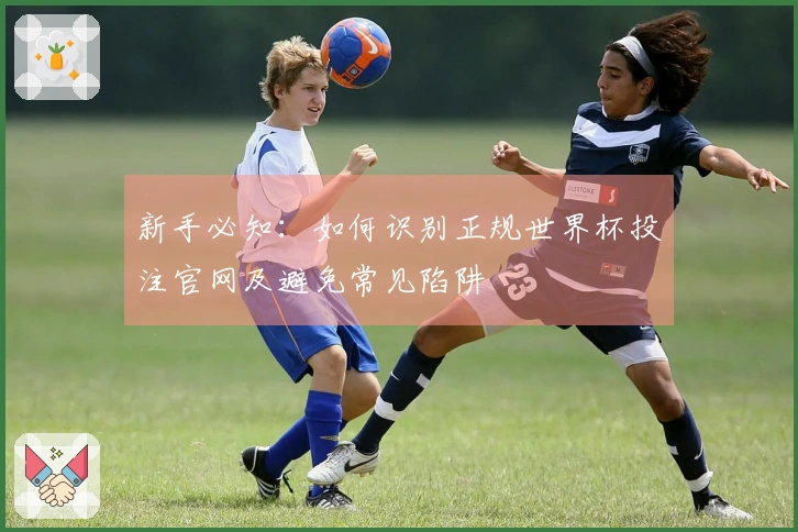 新手必知：如何识别正规世界杯投注官网及避免常见陷阱
